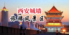 裸体御姐中国陕西-西安城墙旅游风景区