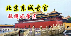 高中生大鸡巴中国北京-东城古宫旅游风景区