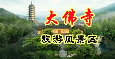 操白虎视频中国浙江-新昌大佛寺旅游风景区